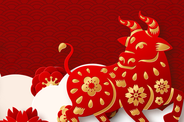 牛年春节 不一样的精彩