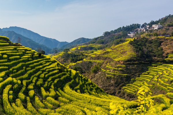 国家乡村振兴局：持续巩固脱贫攻坚成果 全面推进乡村振兴