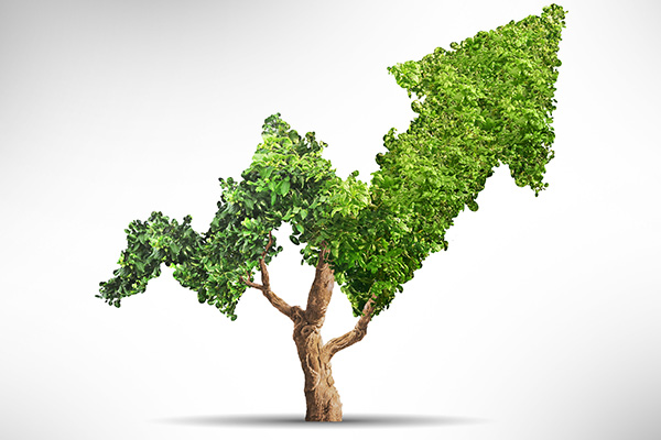 碳达峰碳中和中央层面总体部署亮相|一分钟速览路线图、施工图