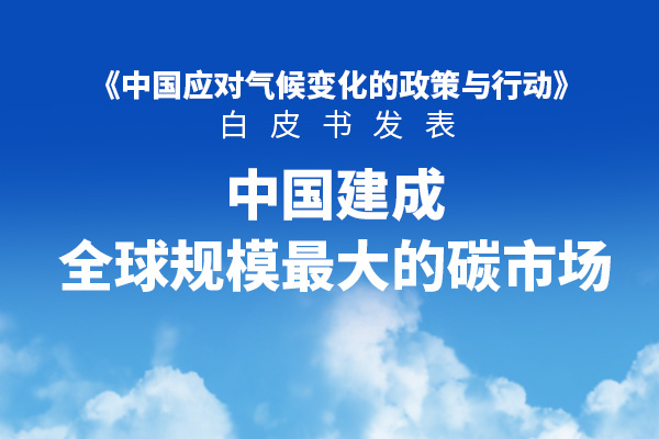 全国碳市场成交数据总览