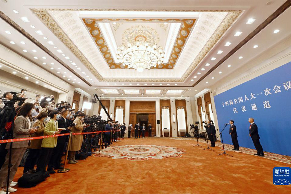回放：十四届全国人大一次会议第二场“代表通道”