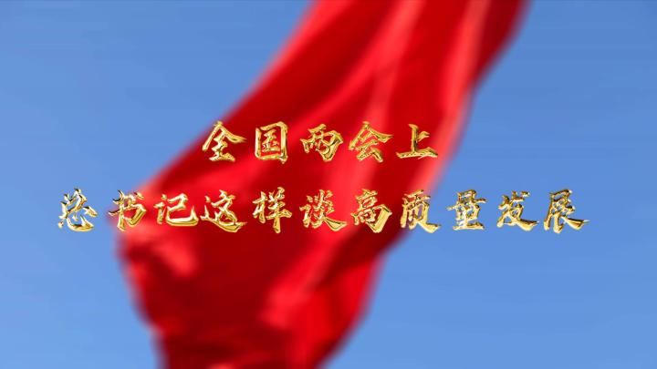 全国两会上，总书记这样谈高质量发展