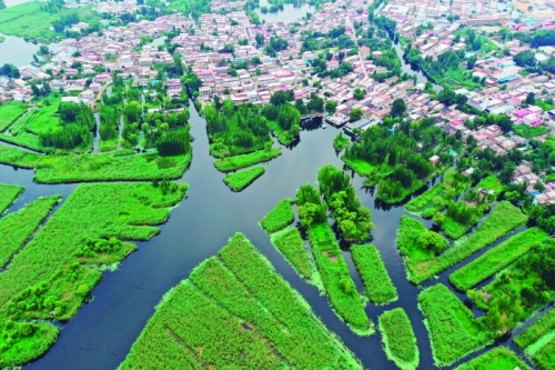 6位“追梦人” 6个雄安关键词