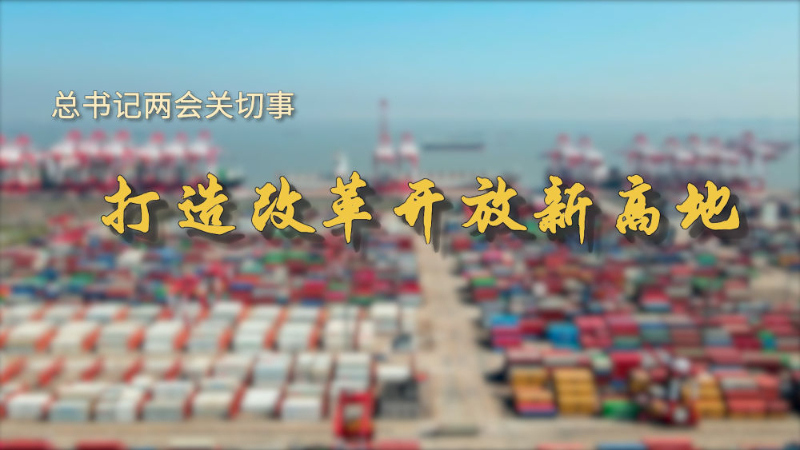 总书记两会关切事|打造改革开放新高地